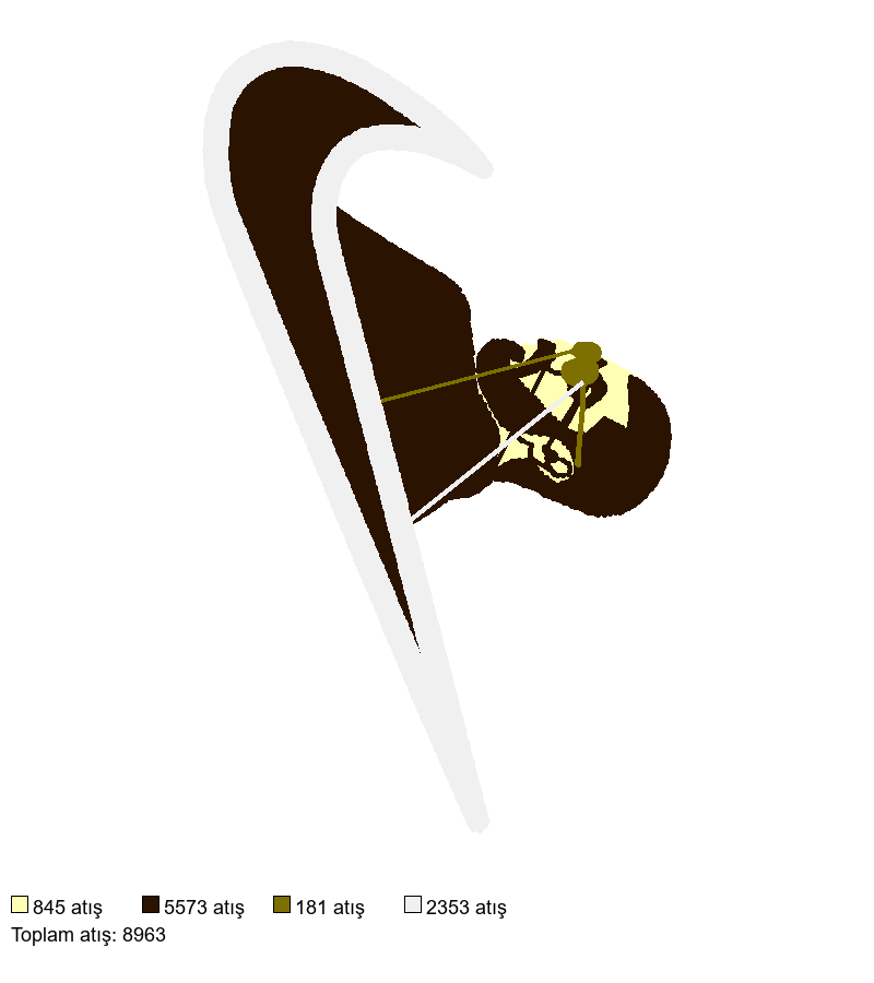 12 Nike Miyagi nakış deseni