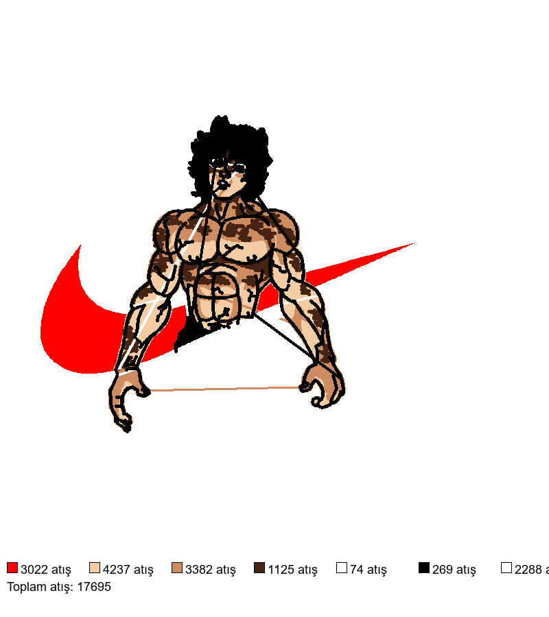 143 Nike Baki nakış deseni