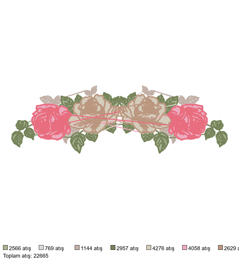 RM- Rosas Grandes 22x7 nakış deseni
