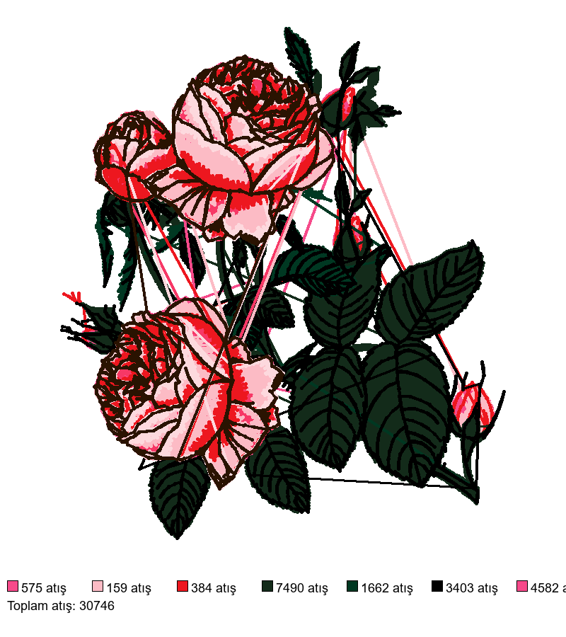 rosa 11 (1) nakış deseni